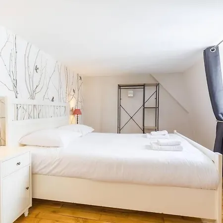 Апартаменты Le Duplex Des Ducs Дижон